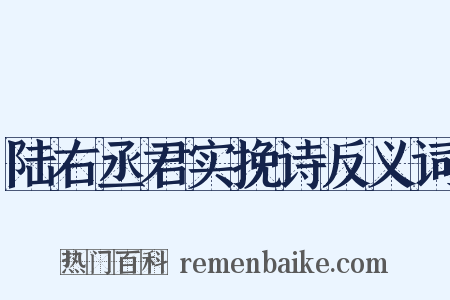 陆右丞君实挽诗反义词是什么意思的图片